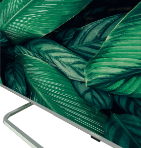 50 NANO GH 8100_3.jpg